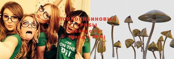 индика Горно-Алтайск