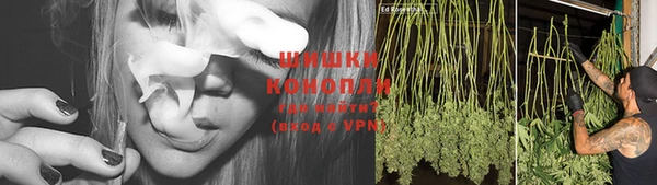 спайс Горнозаводск