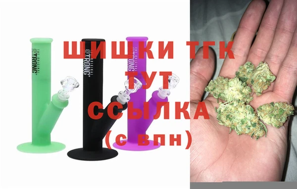 индика Горно-Алтайск