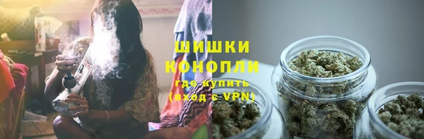 индика Горно-Алтайск