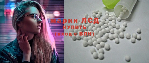 индика Горно-Алтайск