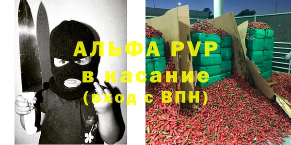 индика Горно-Алтайск