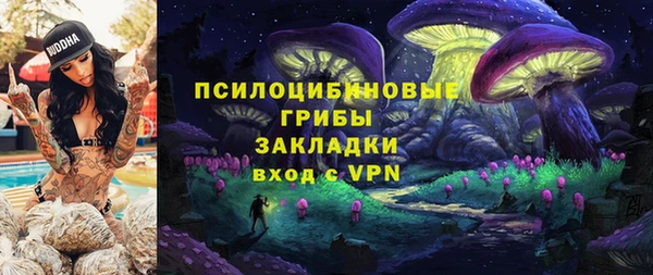 индика Горно-Алтайск