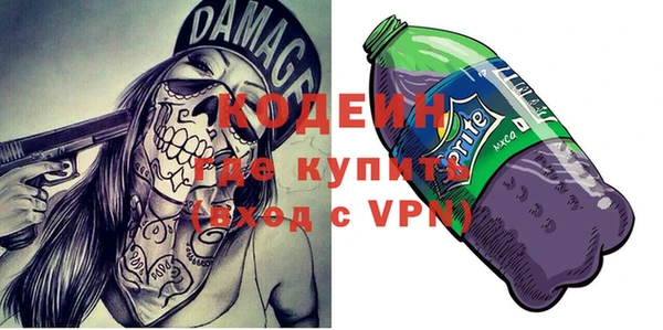 индика Горно-Алтайск