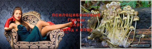 мескалин Горняк