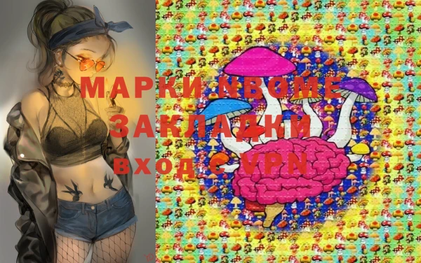 индика Горно-Алтайск
