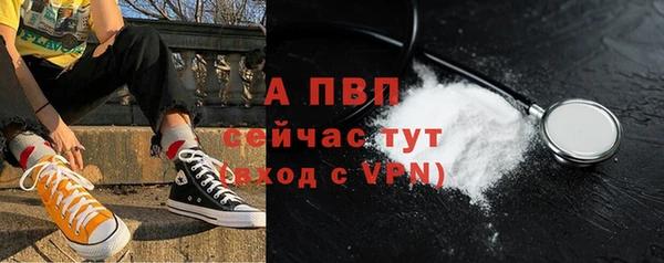 индика Горно-Алтайск