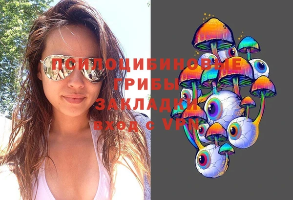 индика Горно-Алтайск
