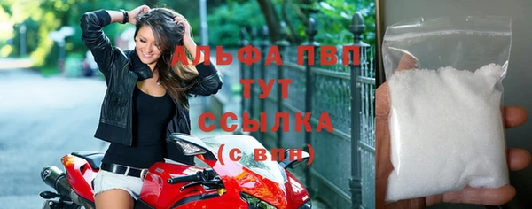 индика Горно-Алтайск