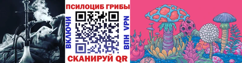 Псилоцибиновые грибы Magic Shrooms  Казань 
